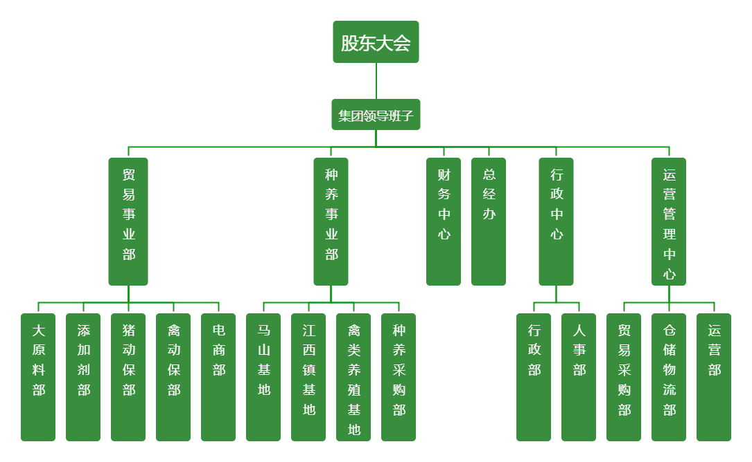 尊时凯龙人生就博集团架构图