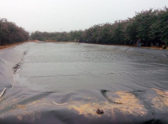 黑膜沼气池
