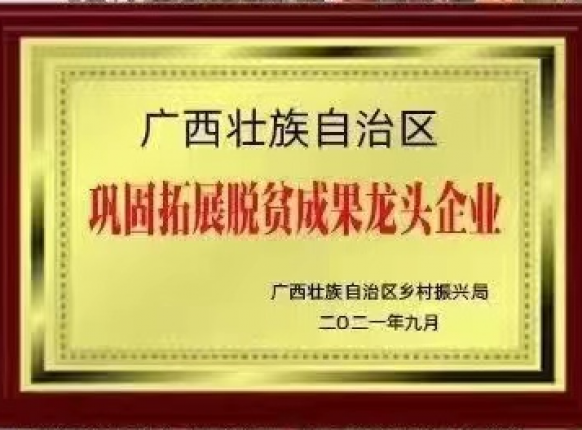 脱贫成果龙头企业