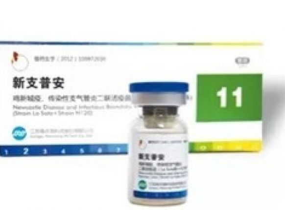  防“新”控“支”需普安 注重效果保护全